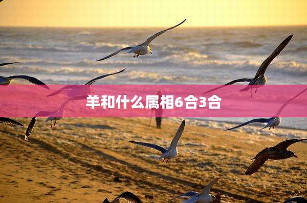 羊和什么属相6合3合