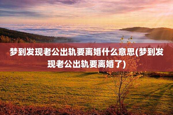 梦到发现老公出轨要离婚什么意思(梦到发现老公出轨要离婚了)