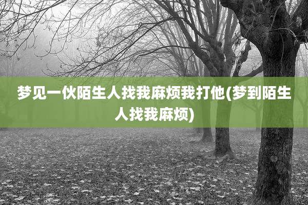 梦见一伙陌生人找我麻烦我打他(梦到陌生人找我麻烦)