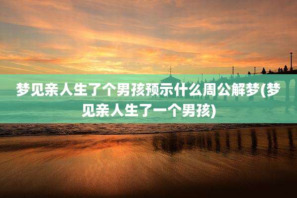 梦见亲人生了个男孩预示什么周公解梦(梦见亲人生了一个男孩)