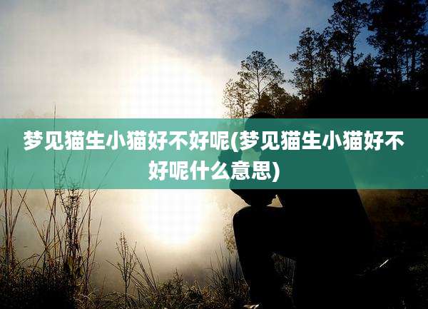 梦见猫生小猫好不好呢(梦见猫生小猫好不好呢什么意思)