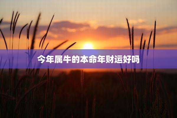 今年属牛的本命年财运好吗