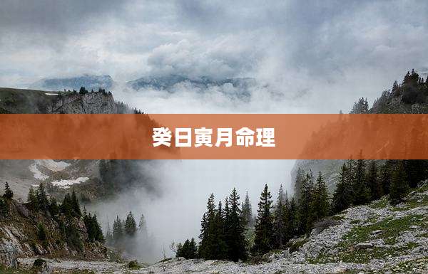 癸日寅月命理