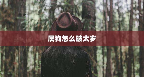 属狗怎么破太岁