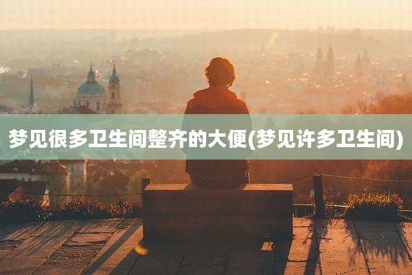 梦见很多卫生间整齐的大便(梦见许多卫生间)