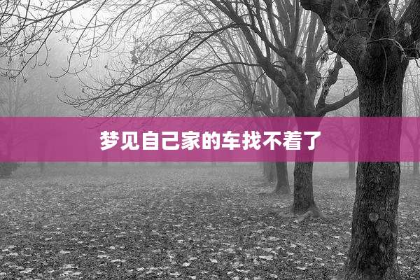 梦见自己家的车找不着了