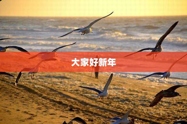 大家好新年