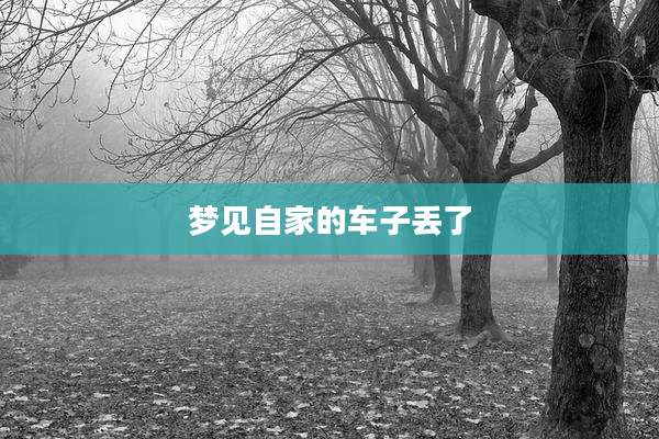 梦见自家的车子丢了