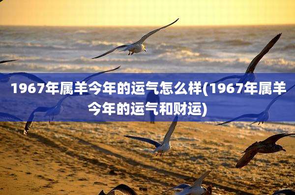 1967年属羊今年的运气怎么样(1967年属羊今年的运气和财运)