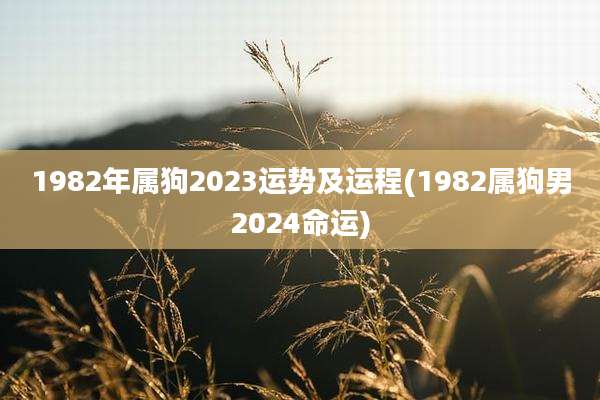 1982年属狗2023运势及运程(1982属狗男2024命运)