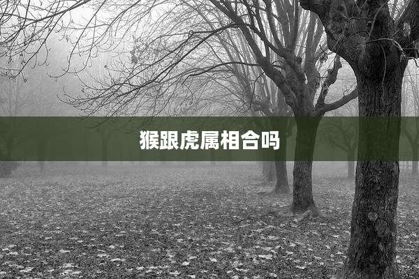 猴跟虎属相合吗