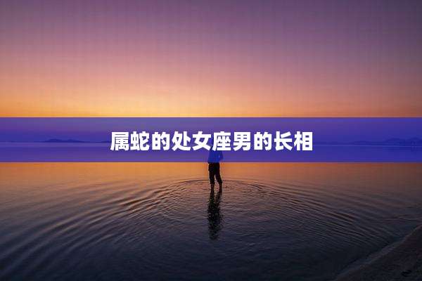 属蛇的处女座男的长相