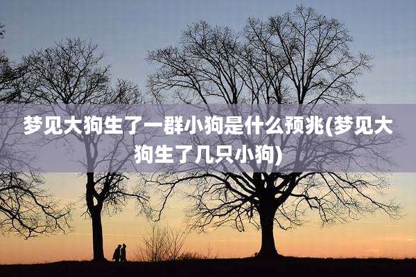 梦见大狗生了一群小狗是什么预兆(梦见大狗生了几只小狗)