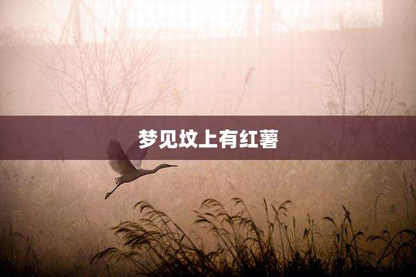 梦见坟上有红薯
