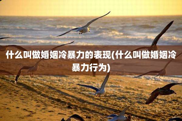 什么叫做婚姻冷暴力的表现(什么叫做婚姻冷暴力行为)