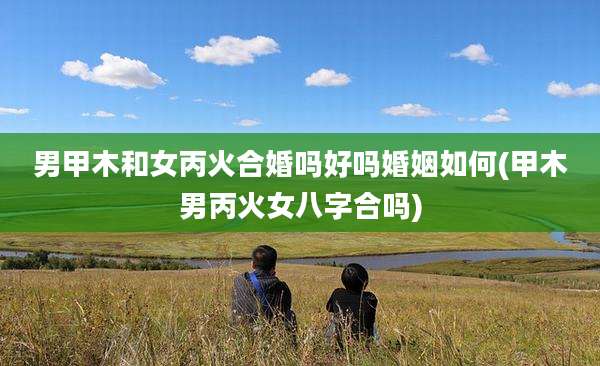 男甲木和女丙火合婚吗好吗婚姻如何(甲木男丙火女八字合吗)