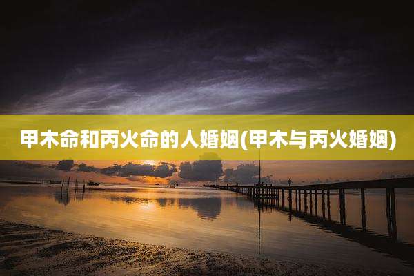 甲木命和丙火命的人婚姻(甲木与丙火婚姻)