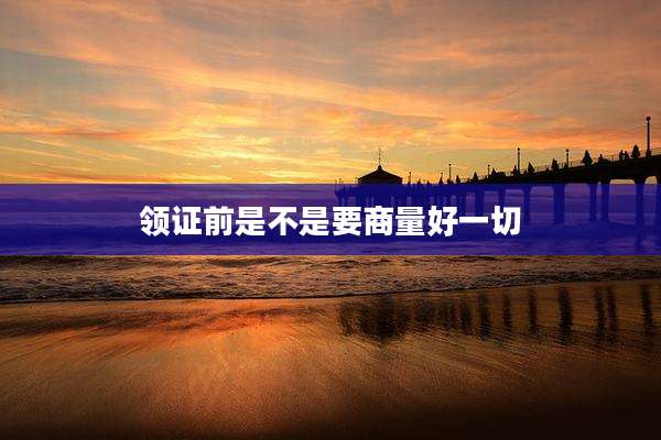领证前是不是要商量好一切