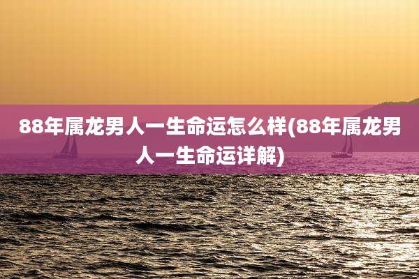 88年属龙男人一生命运怎么样(88年属龙男人一生命运详解)