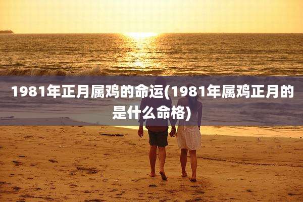 1981年正月属鸡的命运(1981年属鸡正月的是什么命格)