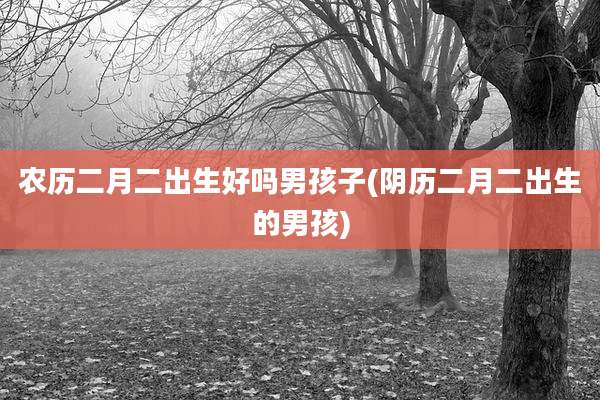 农历二月二出生好吗男孩子(阴历二月二出生的男孩)