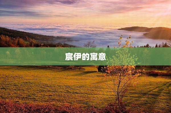 宸伊的寓意