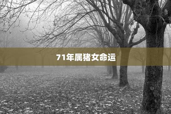 71年属猪女命运