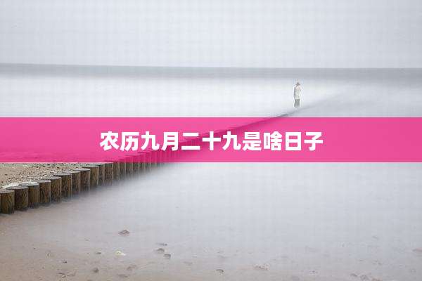 农历九月二十九是啥日子