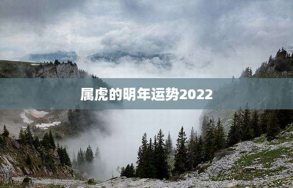 属虎的明年运势2022