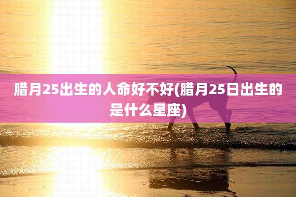 腊月25出生的人命好不好(腊月25日出生的是什么星座)