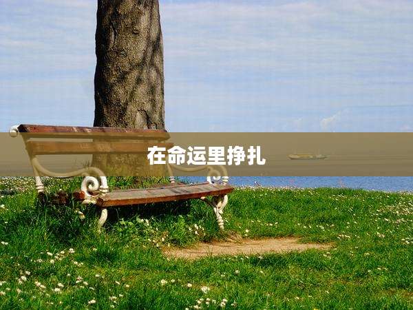 在命运里挣扎