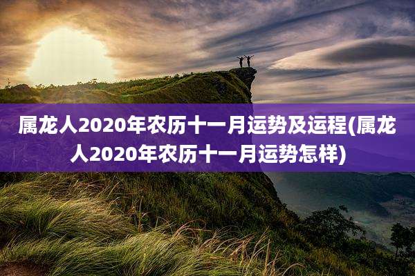 属龙人2020年农历十一月运势及运程(属龙人2020年农历十一月运势怎样)