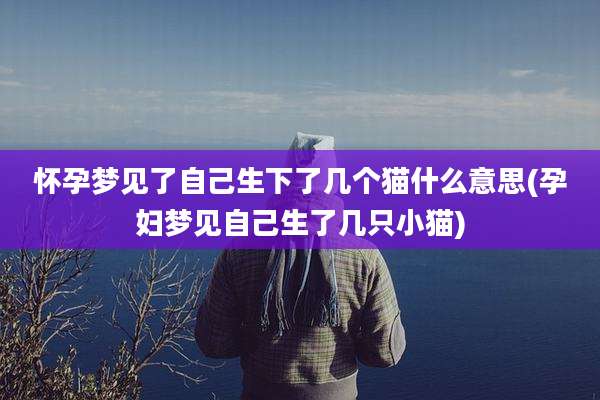 怀孕梦见了自己生下了几个猫什么意思(孕妇梦见自己生了几只小猫)