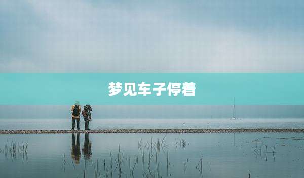 梦见车子停着