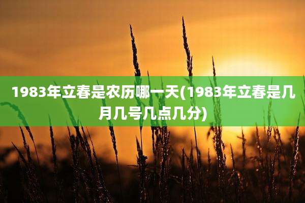 1983年立春是农历哪一天(1983年立春是几月几号几点几分)