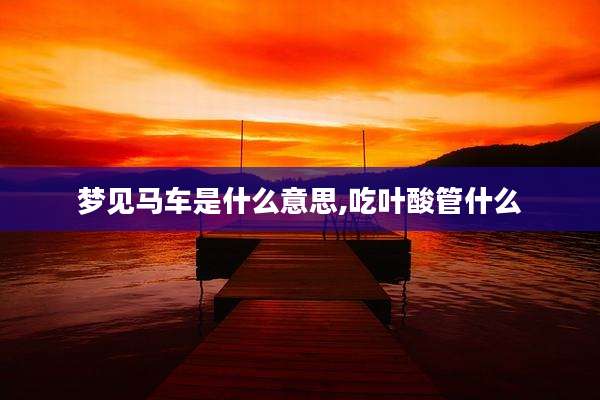 梦见马车是什么意思,吃叶酸管什么