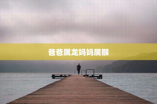 爸爸属龙妈妈属猴