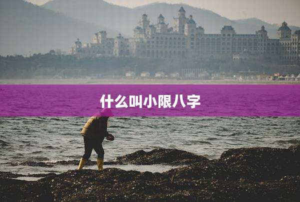 什么叫小限八字