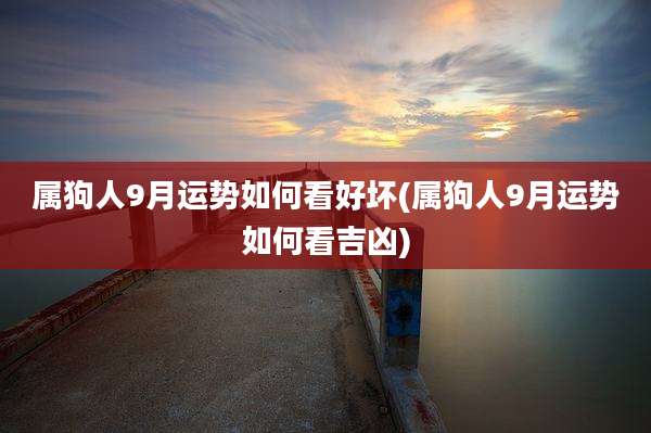 属狗人9月运势如何看好坏(属狗人9月运势如何看吉凶)