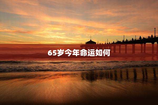 65岁今年命运如何