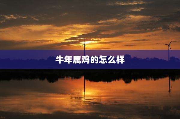 牛年属鸡的怎么样