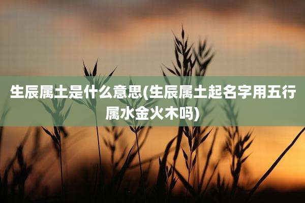 生辰属土是什么意思(生辰属土起名字用五行属水金火木吗)
