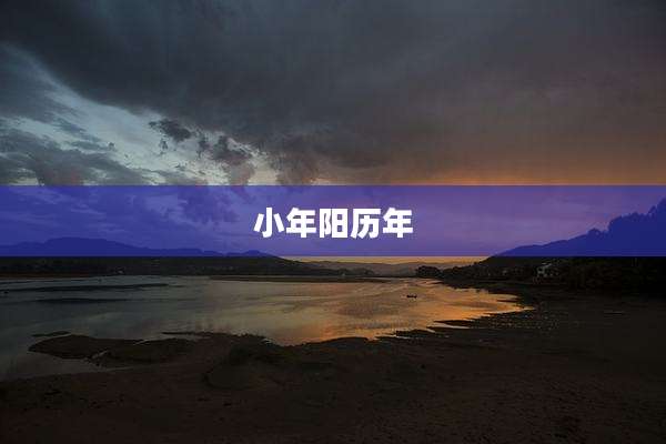 小年阳历年