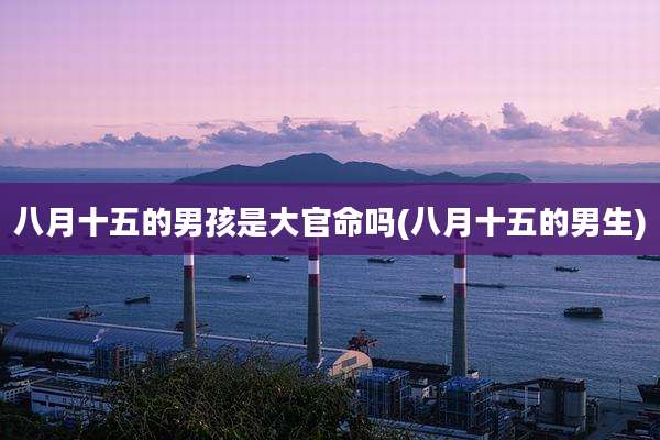 八月十五的男孩是大官命吗(八月十五的男生)