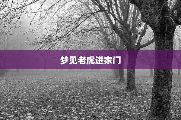 梦见老虎进家门