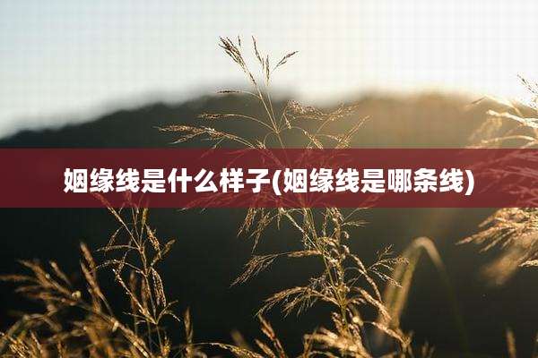 姻缘线是什么样子(姻缘线是哪条线)