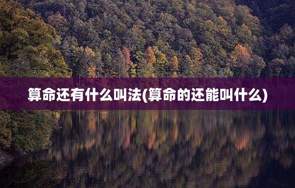 算命还有什么叫法(算命的还能叫什么)
