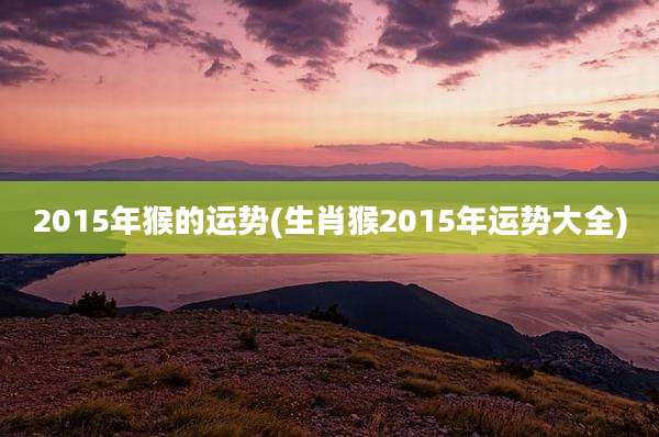 2015年猴的运势(生肖猴2015年运势大全)