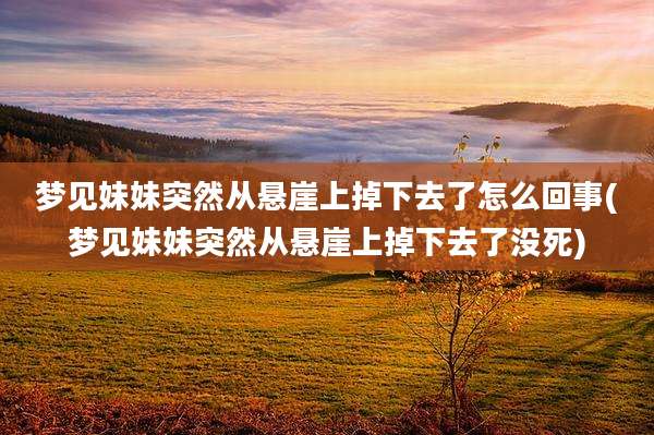 梦见妹妹突然从悬崖上掉下去了怎么回事(梦见妹妹突然从悬崖上掉下去了没死)