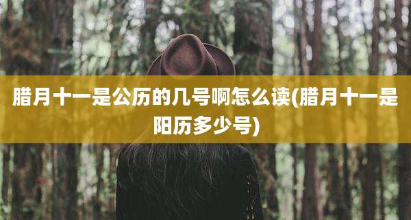 腊月十一是公历的几号啊怎么读(腊月十一是阳历多少号)
